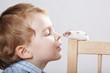 little boy plays with mouse