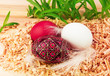 Three Easter eggs in nest
