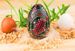 Easter eggs in nests