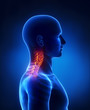 Cervical spine lateral view