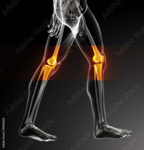 Illustration: Human knee scan Human knee scan