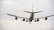 Flugzeug im Landeanflug