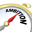 Ambition - Gold Compass Directions to Enterprising People