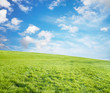 summer fields