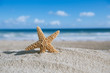 Photo: starfish with ocean , beach and seascape starfish with ocean , beach and seascape