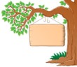 Tree branch in spring theme image 3
