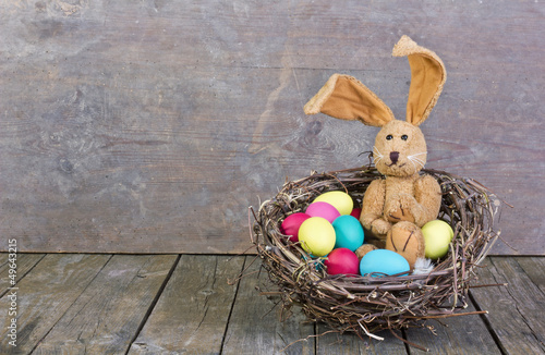 Photo: easter bunny easter bunny