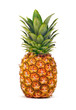 Pineapple isolated