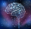 Brain Intelligence Discovery