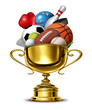 Sports Cup