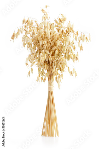 Photo: Oat Ears Oat Ears