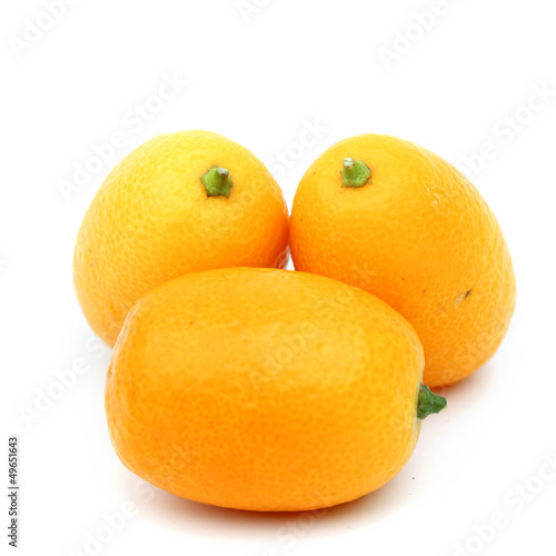Photo: kumquat kumquat