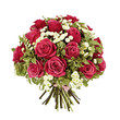 bouquet of pink roses isolated on white
