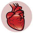 Heart Icon