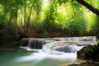 Deep forest waterfall