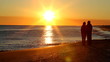 Retirement Couple Sunset