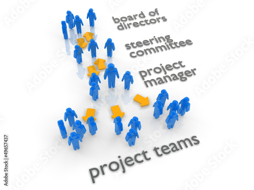 Illustration: project organization structure with steering committee project organization structure with steering committee