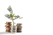 Grow your savings