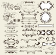 calligraphic retro vector elements and page decorations