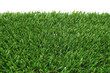 Photo: grass grass