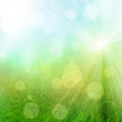 Green and fresh background
