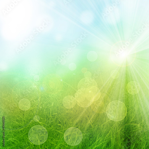 Photo: Green and fresh background Green and fresh background