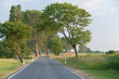 Foto: Romantische kleine Straße auf Insel Poel Romantische kleine Straße auf Insel Poel