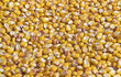 Corn