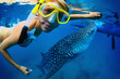 Whale shark