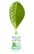 Foto: Feuille Verte et Goutte Huile essentielle Feuille Verte et Goutte Huile essentielle