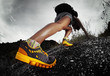 Hiker