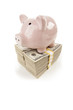 Pink Piggy Bank on Stacks of Money on White