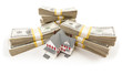 Stacks of Hundreds of Dollars with Small House