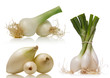 spring onions over white background