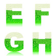 alphabet green beer EFGH