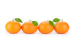 Foto: fresh orange mandarins isolated on a white background fresh orange mandarins isolated on a white background