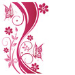 Sommer, frame, Blätter, Laub, Ranke, pink