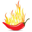 Hot chilli pepper in fire