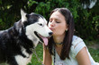 Photo: girl kissing her dog siberian husky girl kissing her dog siberian husky
