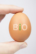 Bio-Ei