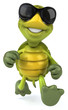 Fun turtle