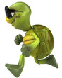 Fun turtle