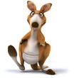 Fun kangaroo