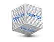 Icube nuage de mots formation