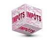 cube nuage de mots impôts