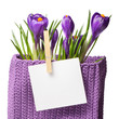 Crocuses with sheet for notes