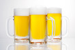 写真: 生ビール点 生ビール
