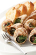 escargot, snails a la bourguignonne