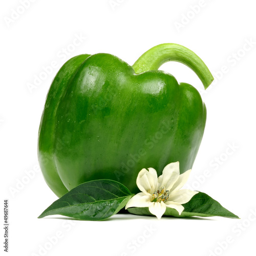 Photo: Bell Pepper with Leaves and Flower Isolated on White Background Bell Pepper with Leaves and Flower Isolated on White Background