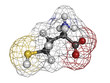 Homocysteine (Hcy) amino acid, molecular model.